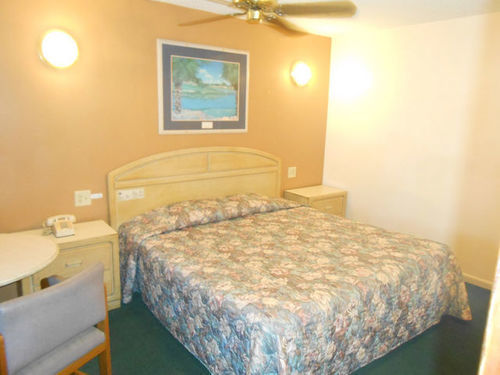 سيبرينغ Budget Inn المظهر الخارجي الصورة